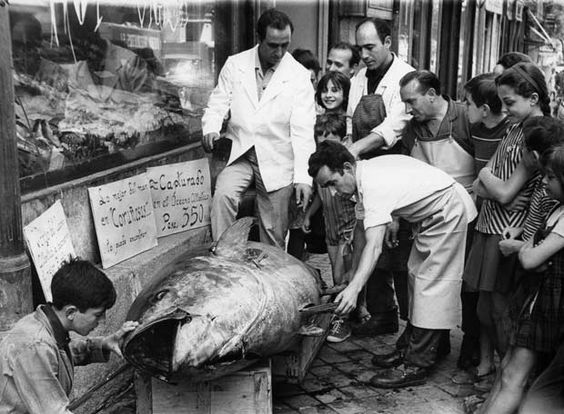 Las primeras pescaderías de Madrid